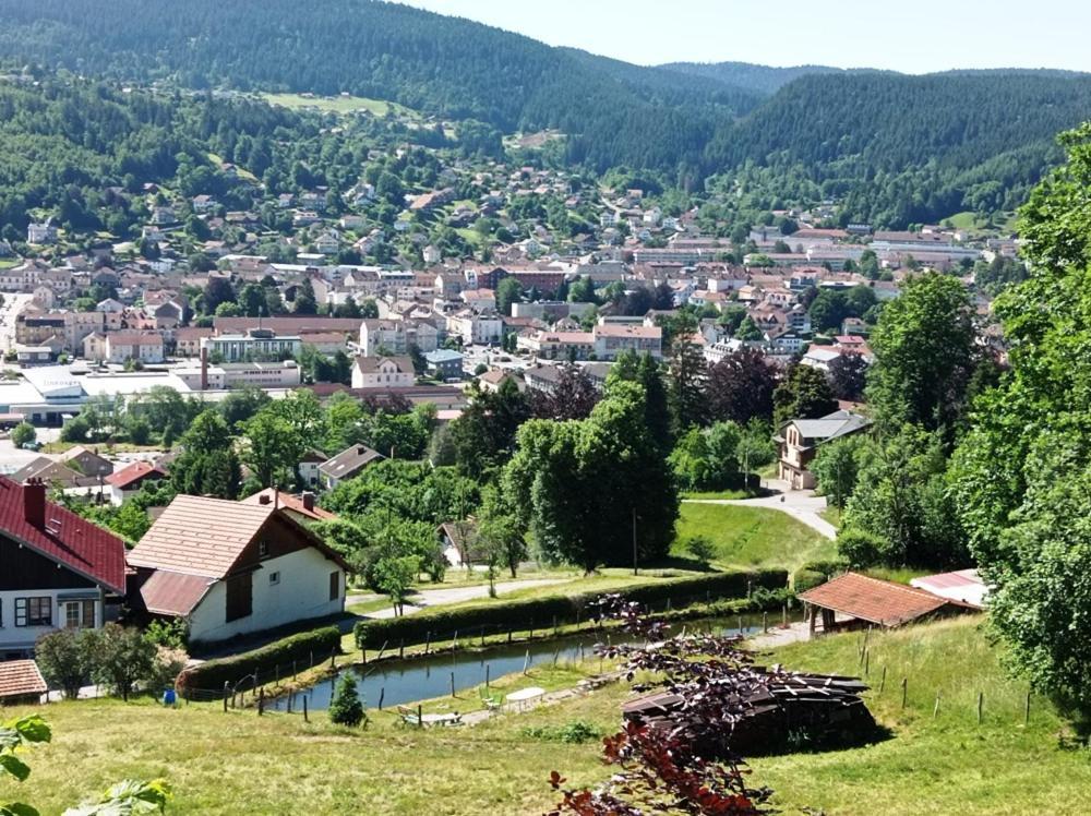 Chalet De Standing 14 Personnes Gérardmer Екстериор снимка